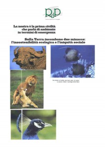 Immagine 5