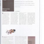 articolo 11